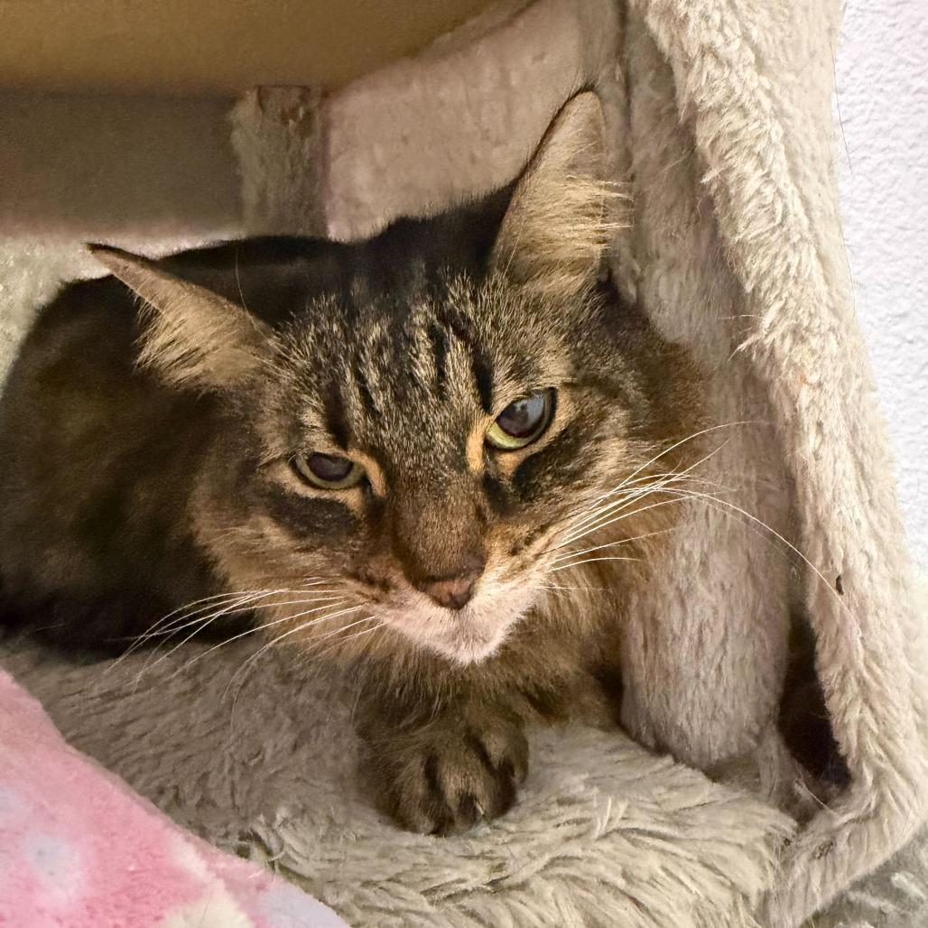 Lucy — thumbnail 2