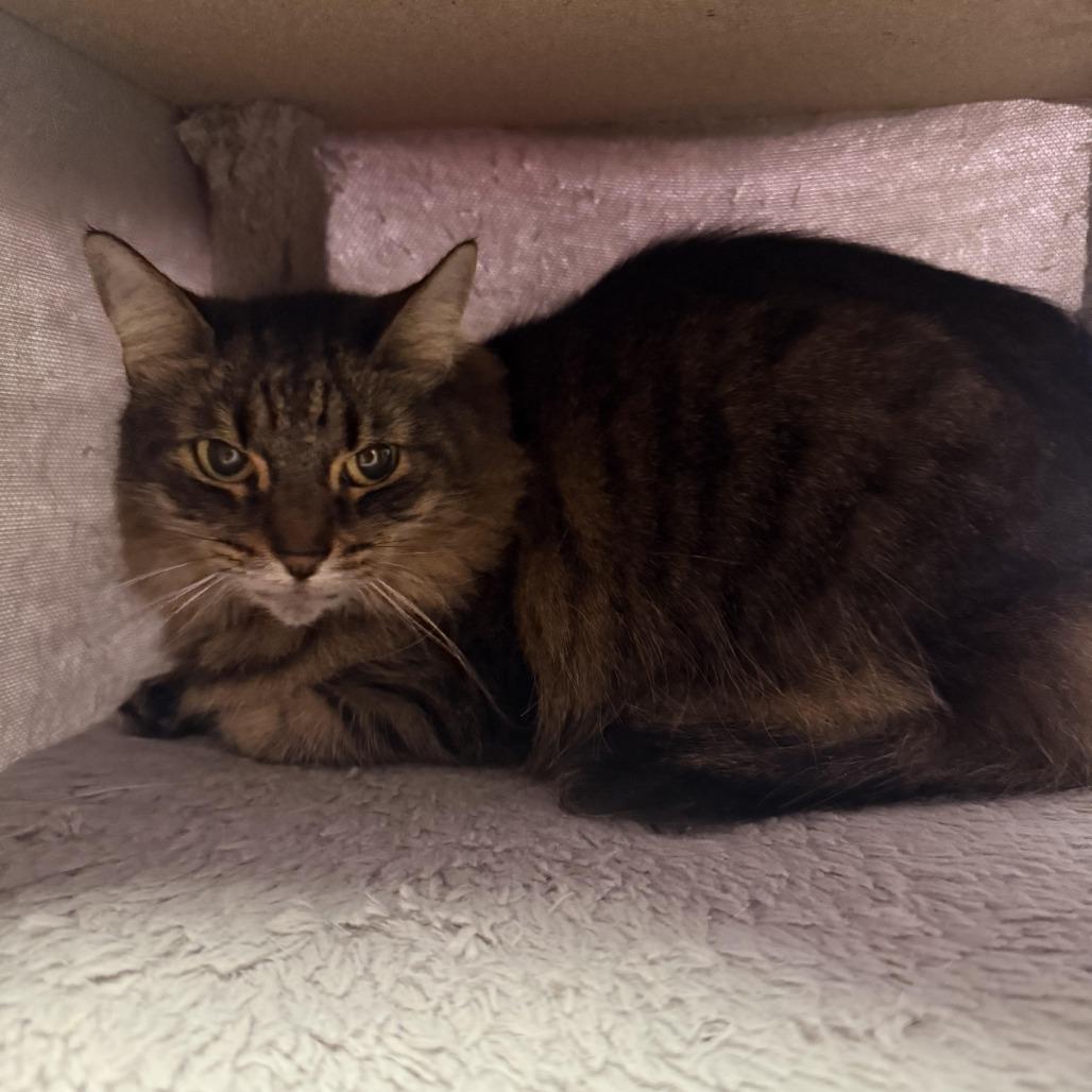 Lucy — thumbnail 4