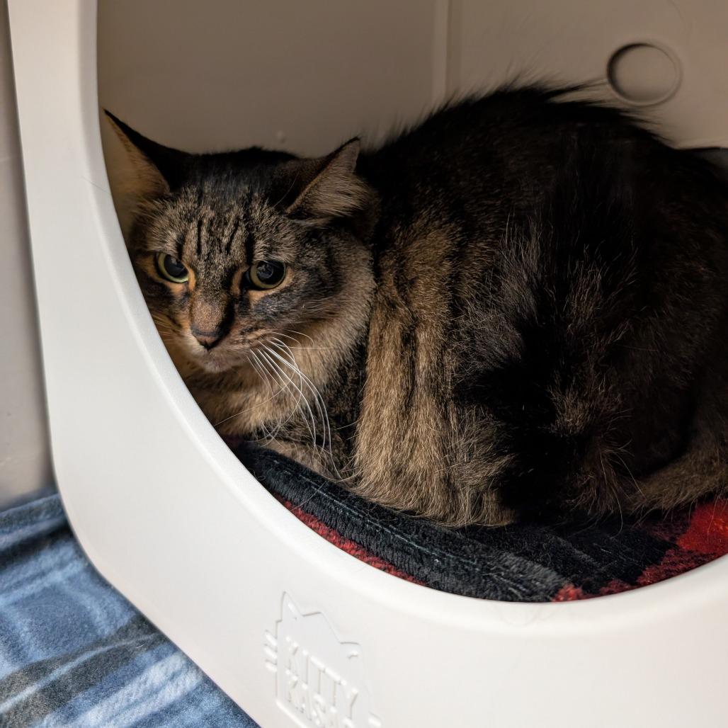 Lucy — thumbnail 5