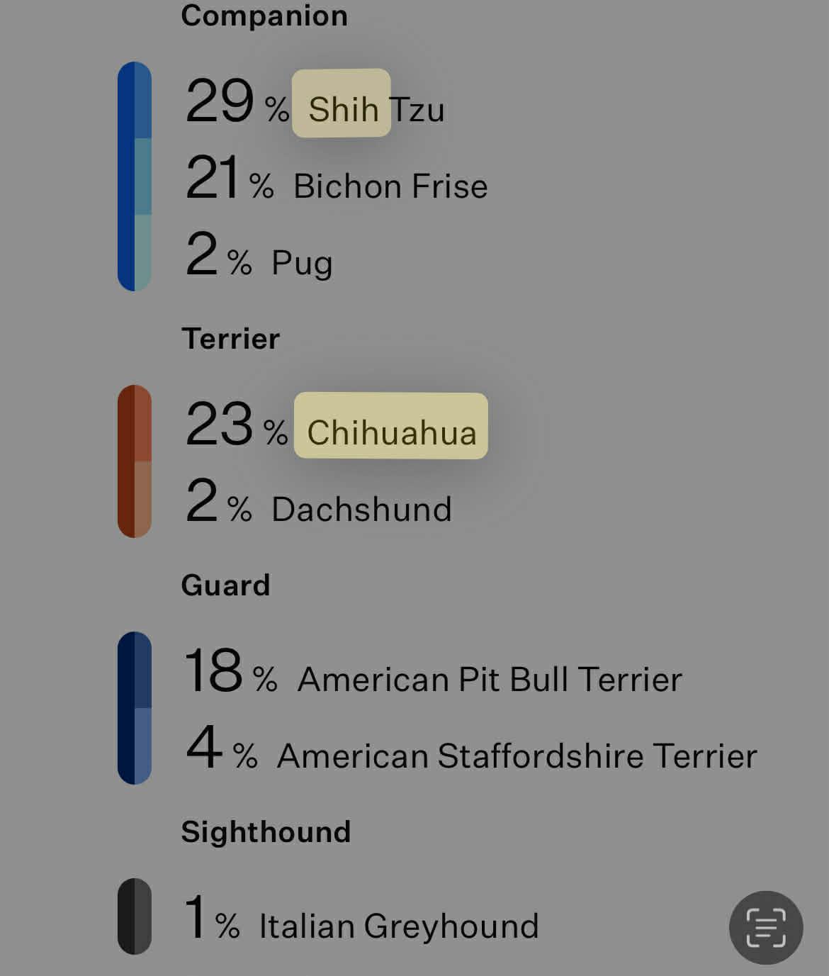 Enlarge Tot, a ADOPTABLE mixed breed in Yorkville, IL image 4/4