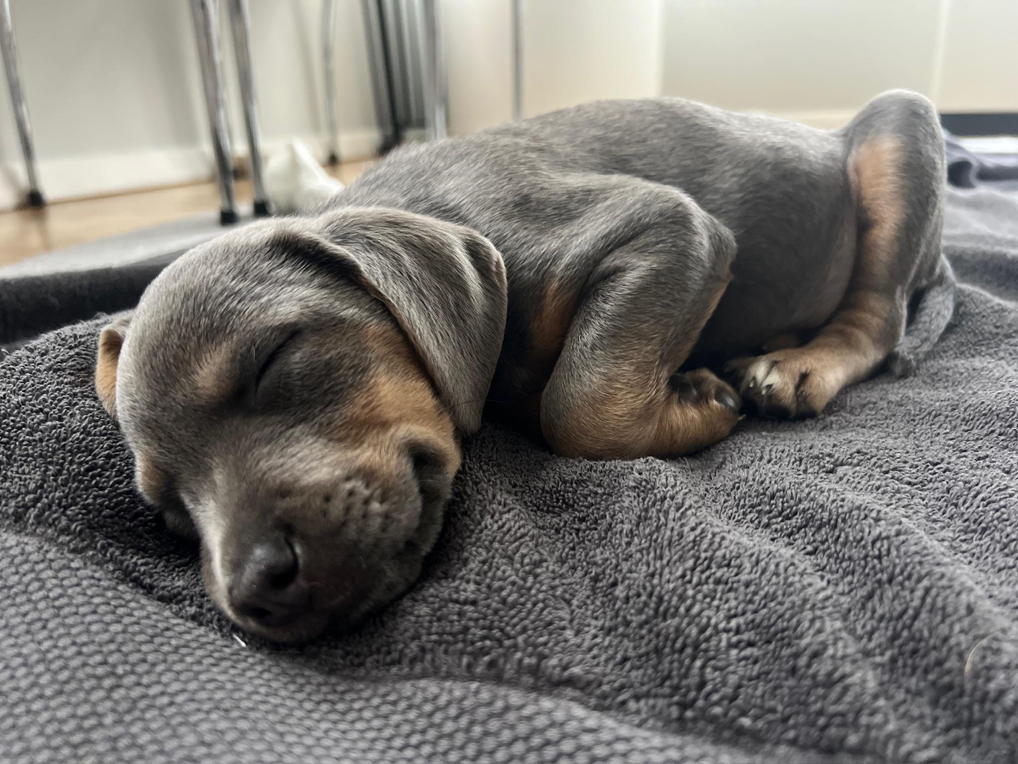 Rita  Of The thumbnail 4