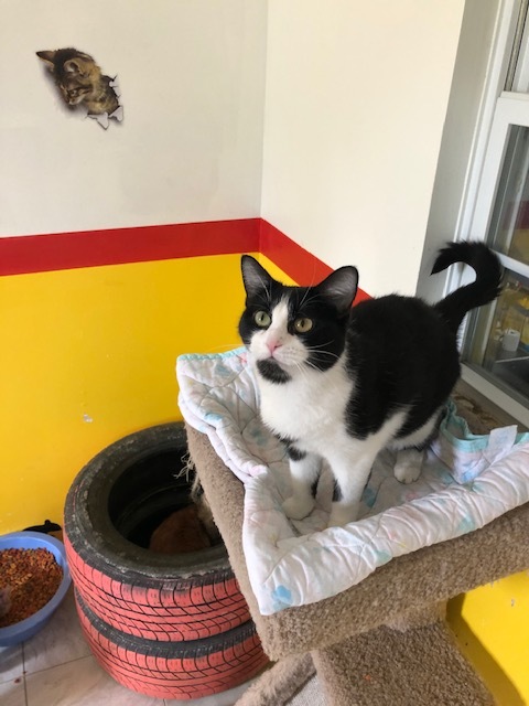 EDEN! — thumbnail 2