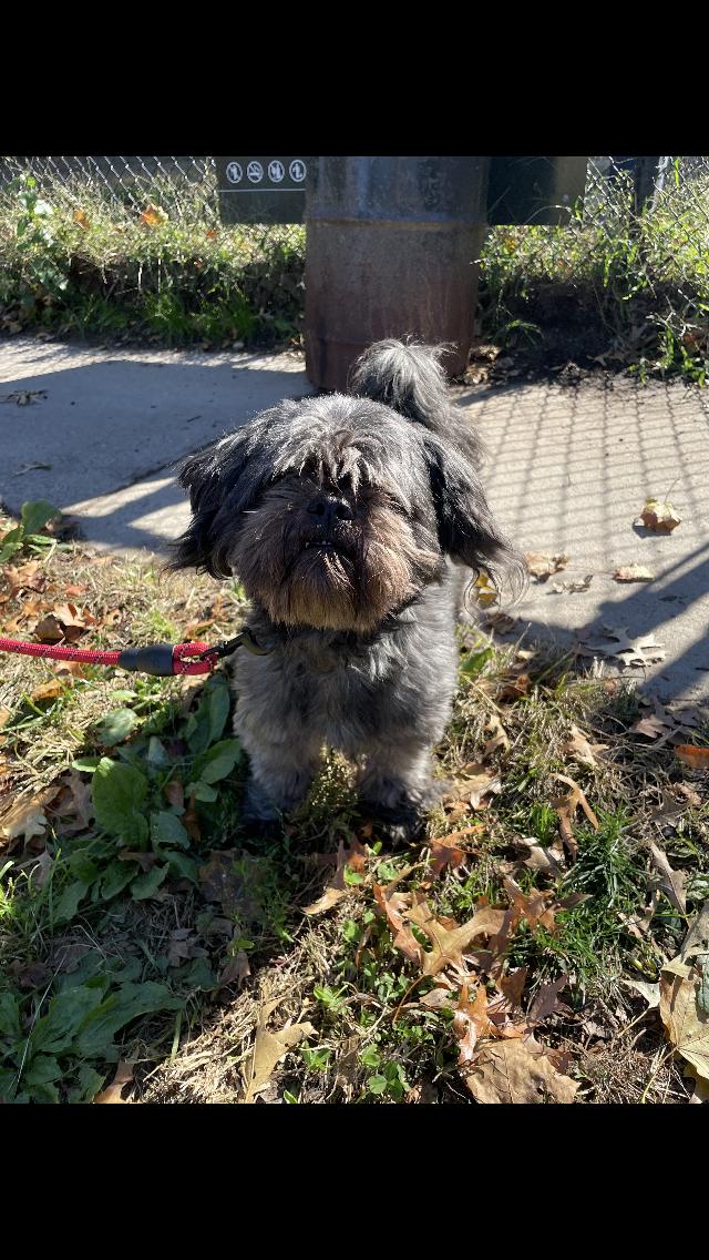 Milo