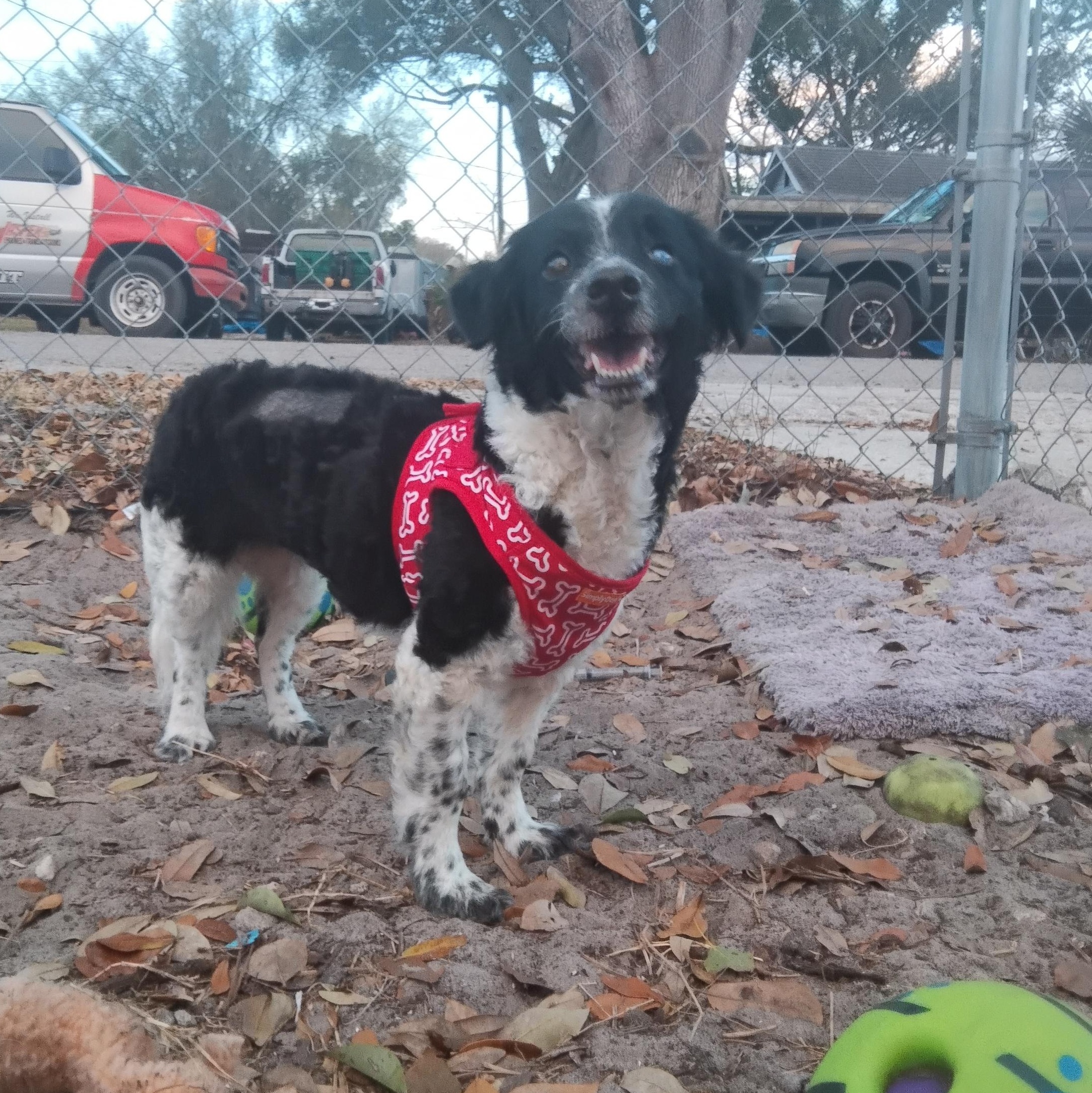 Luna — thumbnail 2