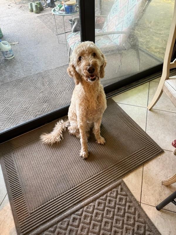 Mia