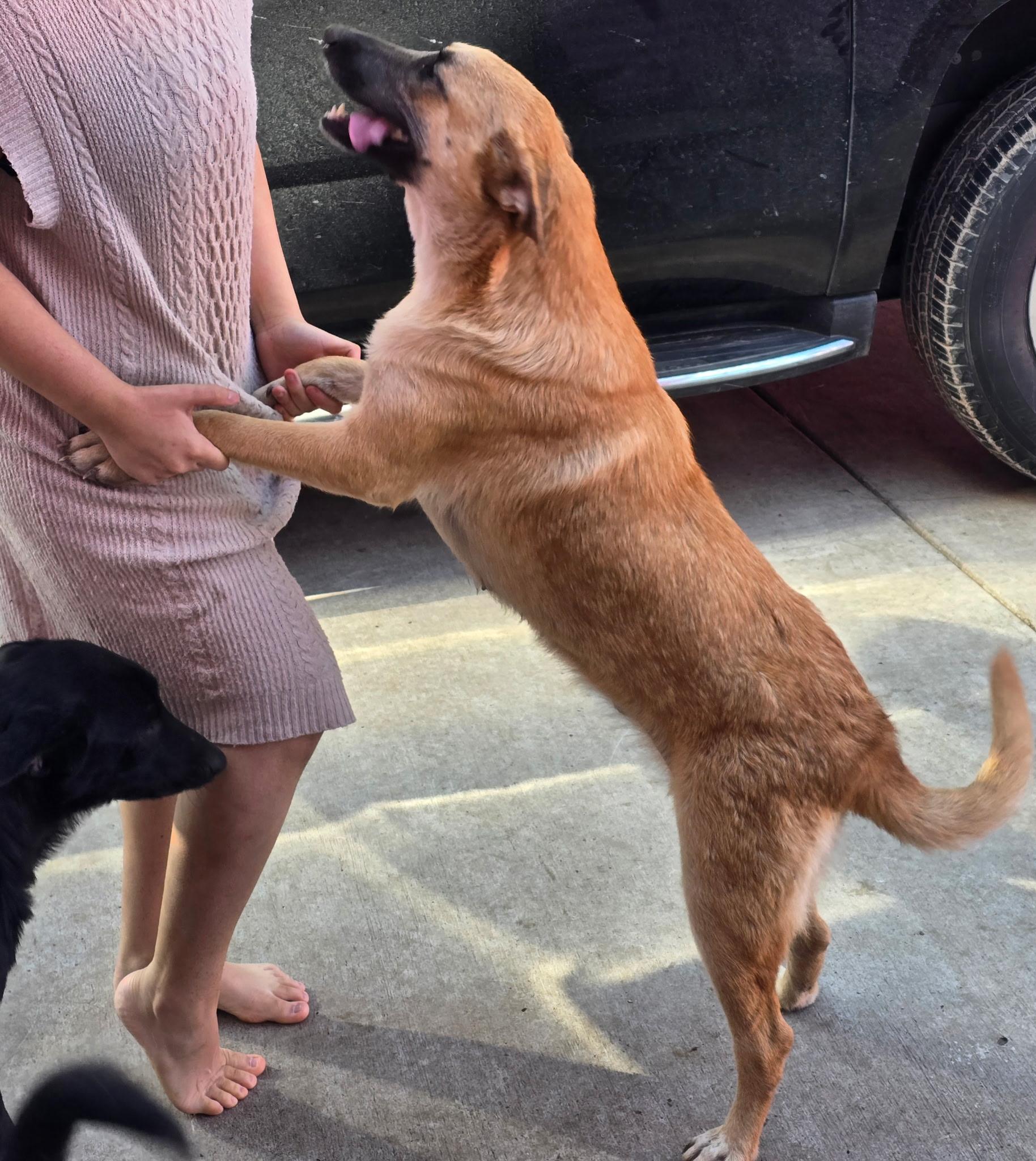 Milky — thumbnail 3