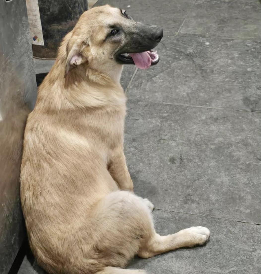 Milky — thumbnail 4