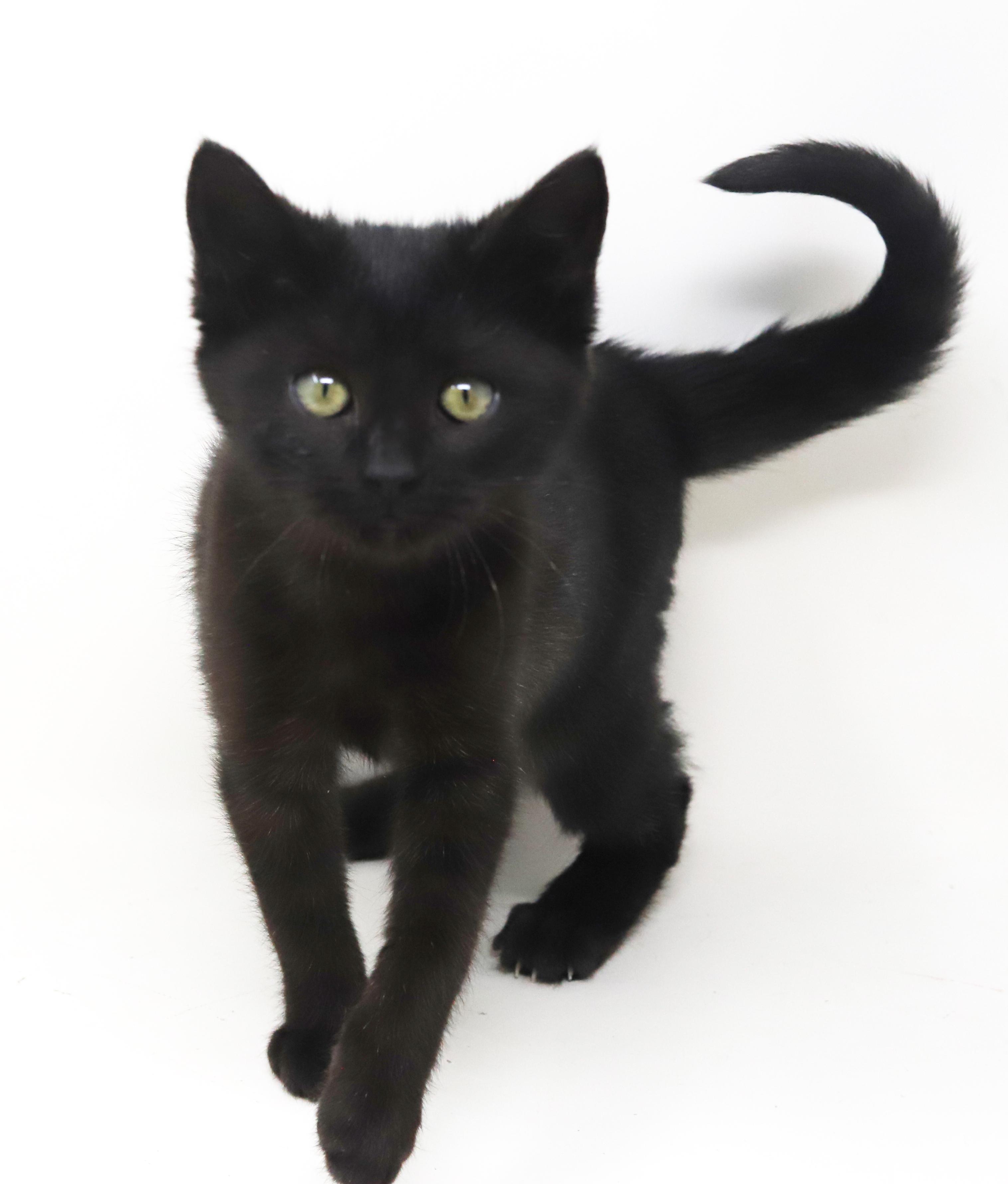 Octavia Is The Princess thumbnail 6