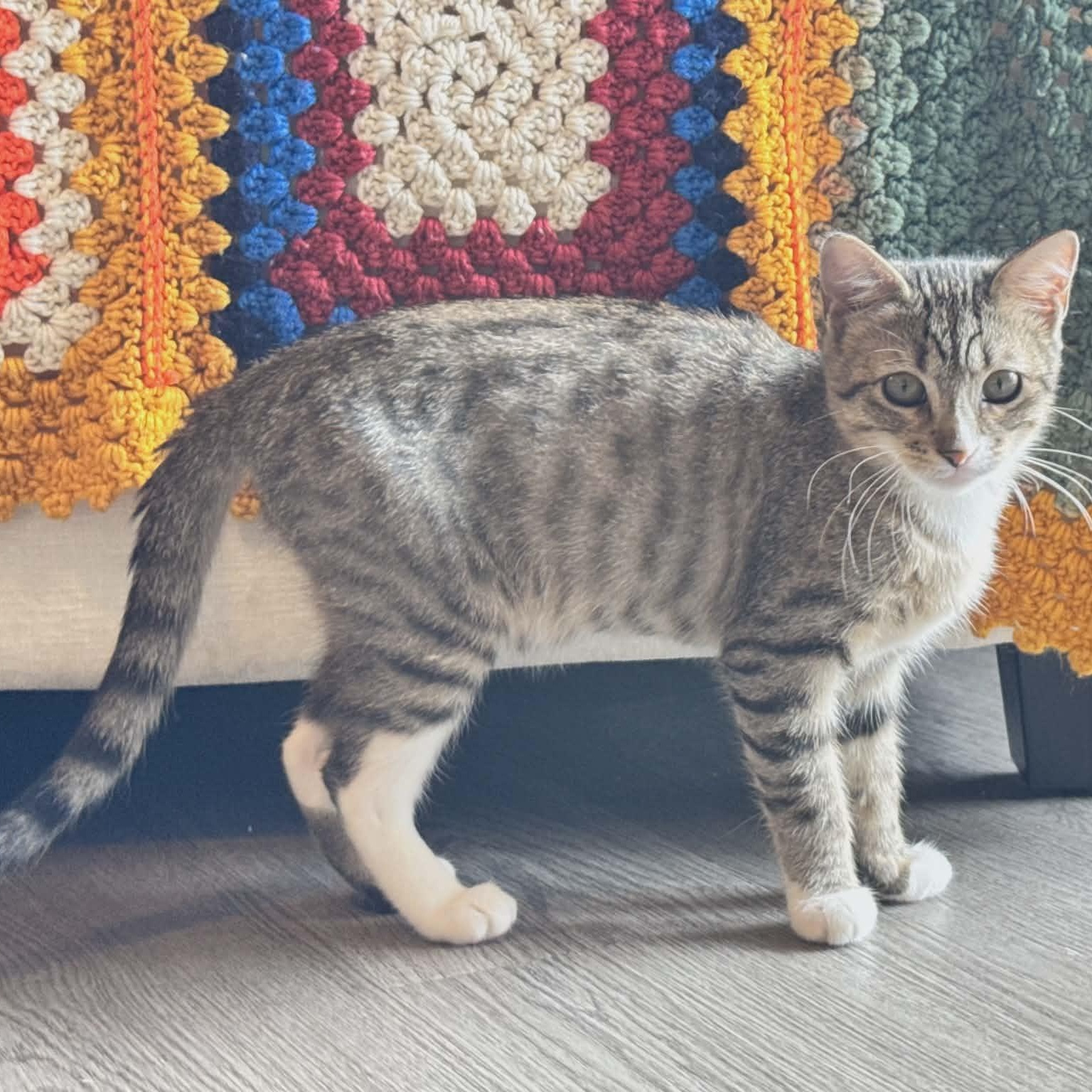 Outgoing Baby Bonnie