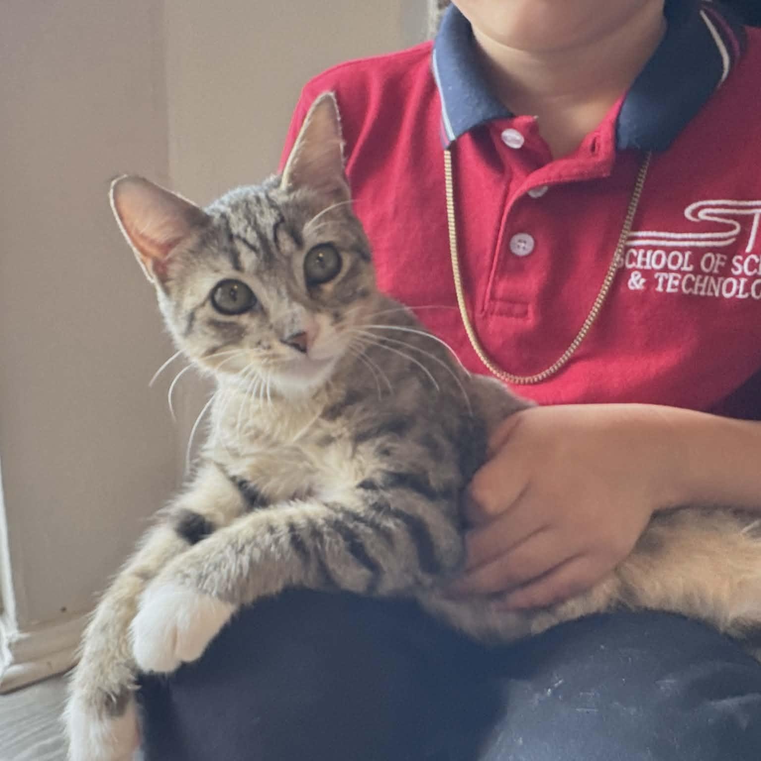 Outgoing Baby Bonnie — thumbnail 5