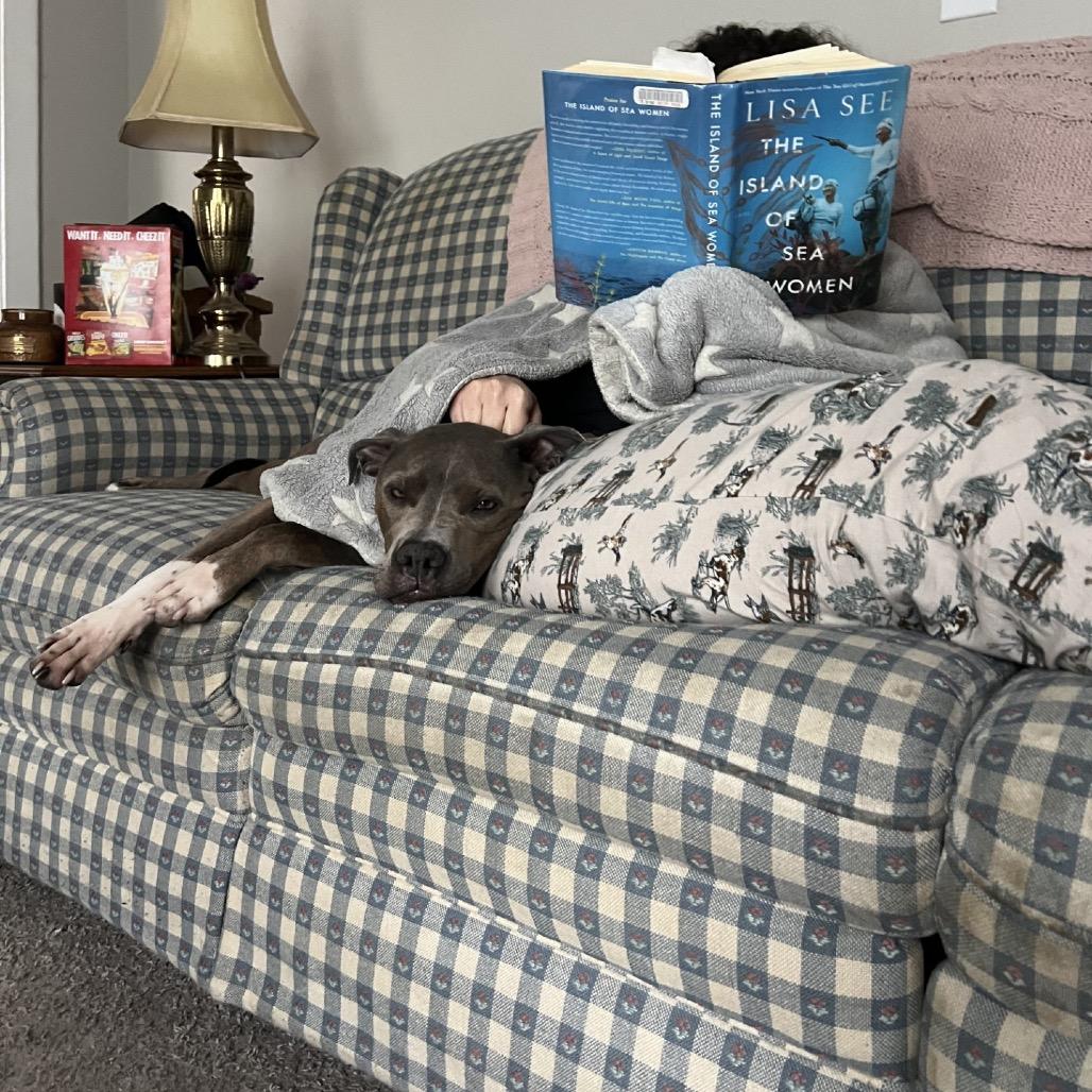 Enlarge Sammy, a Adoptable Pit Bull Terrier in Nashville, TN image 4/6