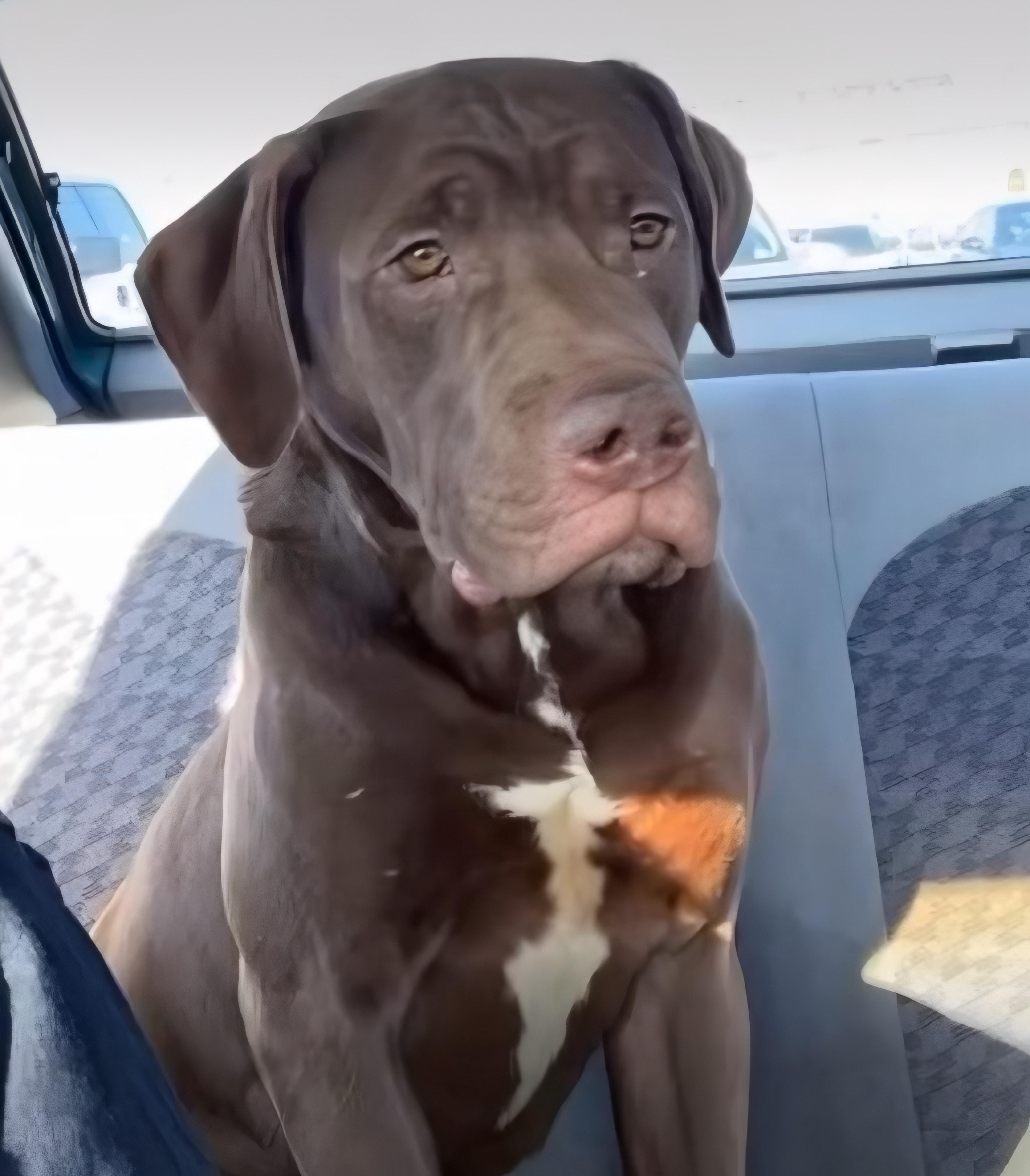 Angel-The Sweetest Boy