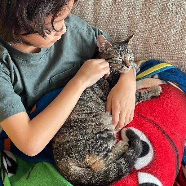 Dolly Purrton — thumbnail 5