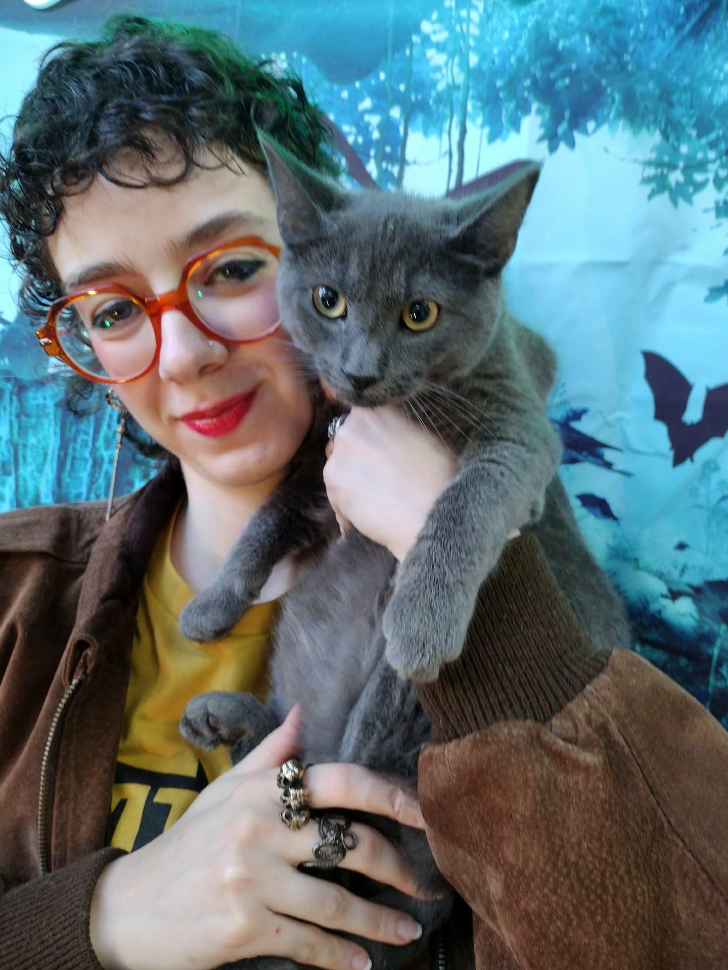 Winston, a Adopted mixed breed in Brooklyn, NY image 3/4