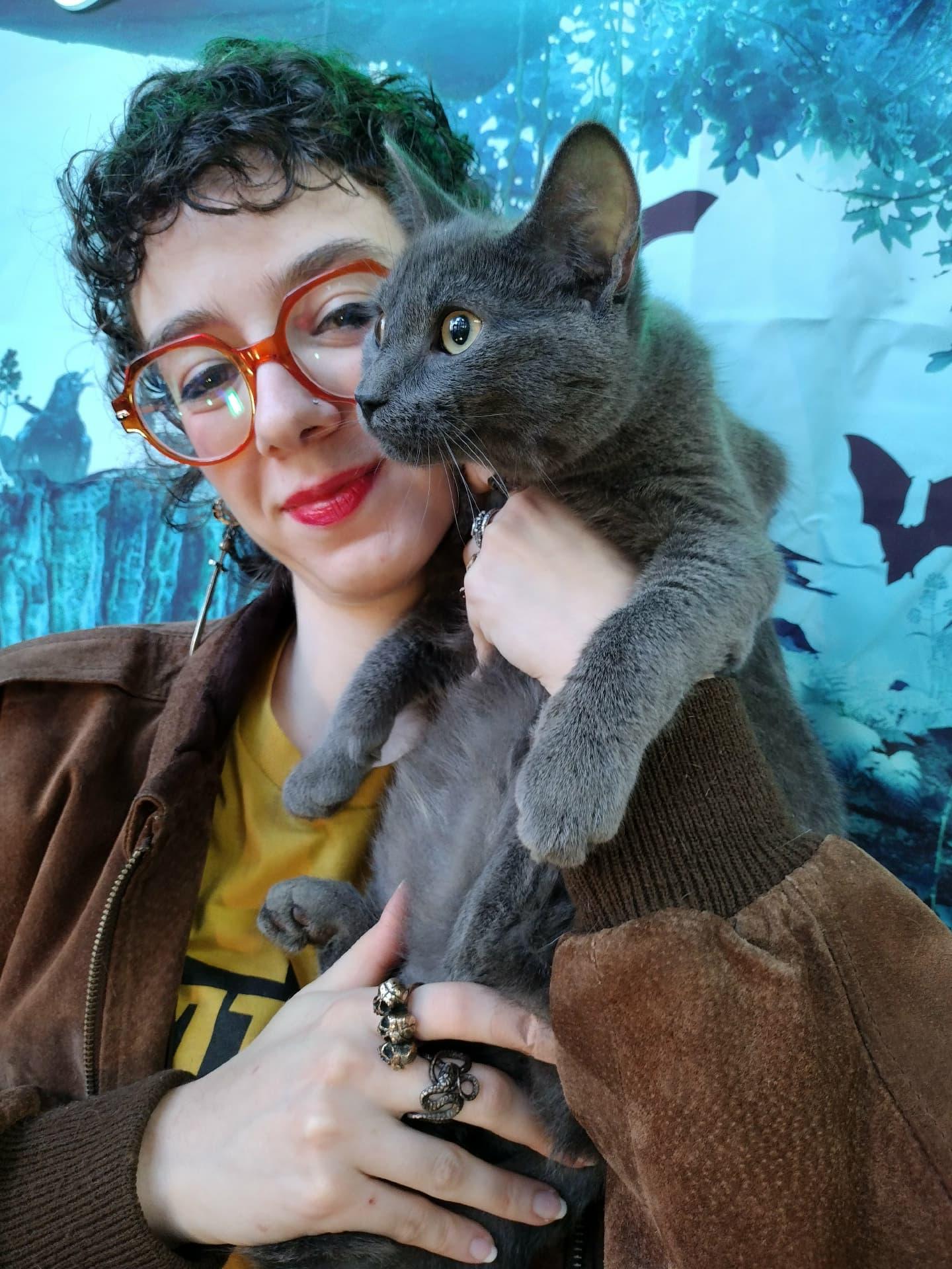 Winston, Adopted, Kitten Male Domestic Short Hair & Russian Blue.