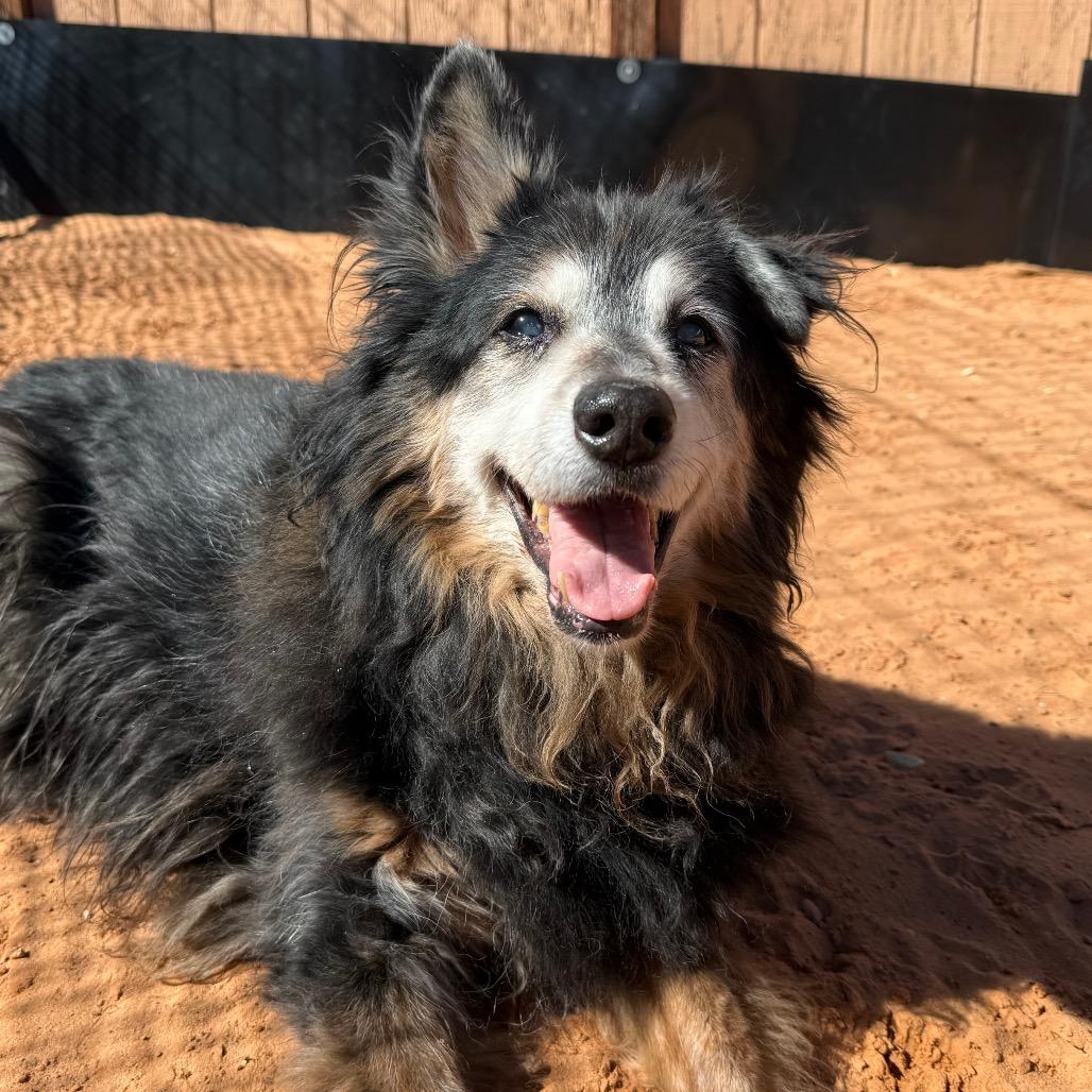 Amos — thumbnail 2