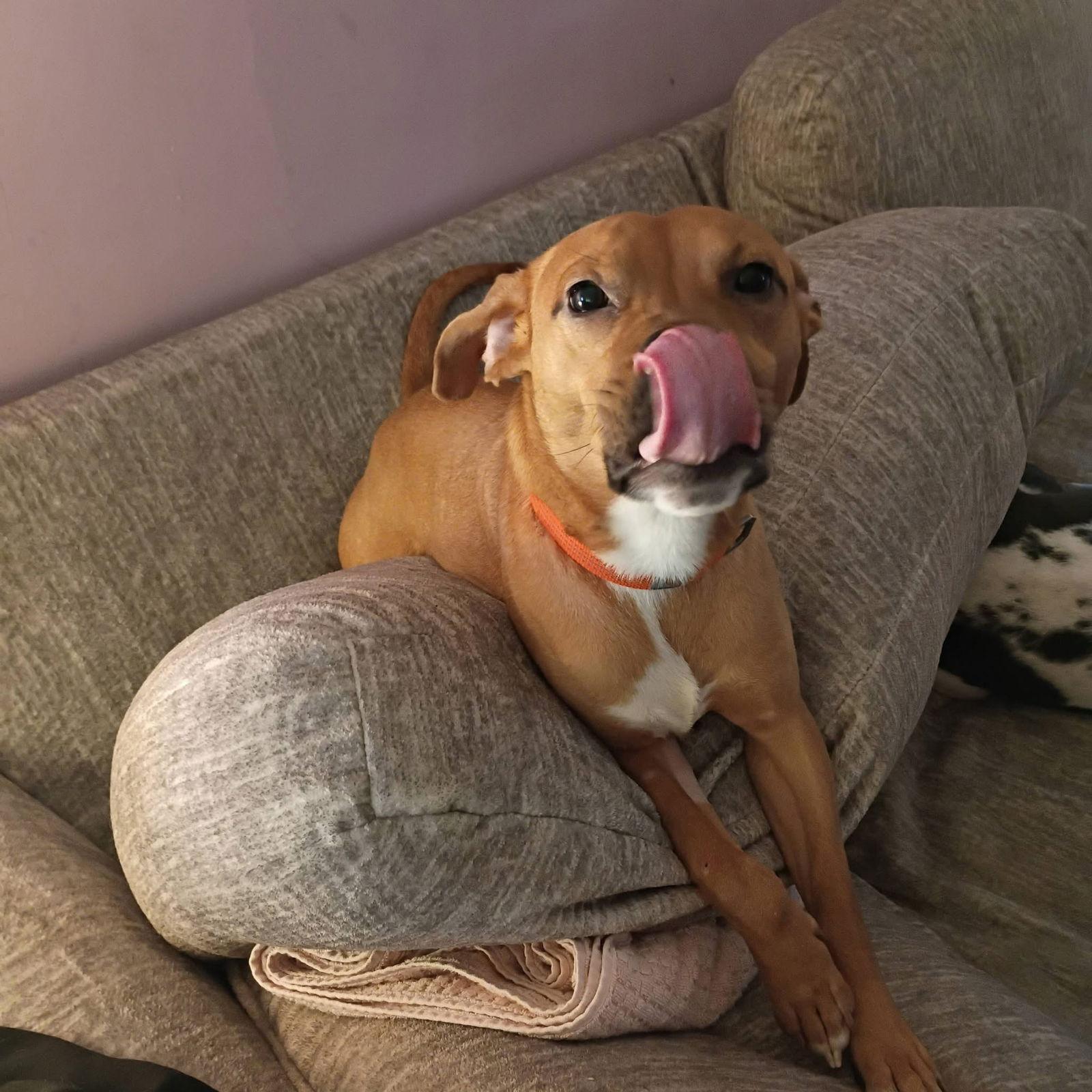 Toblerone — thumbnail 2