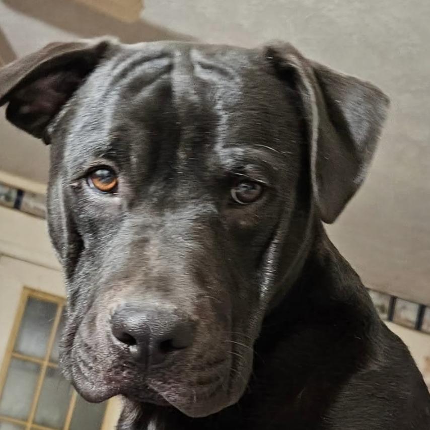 Max