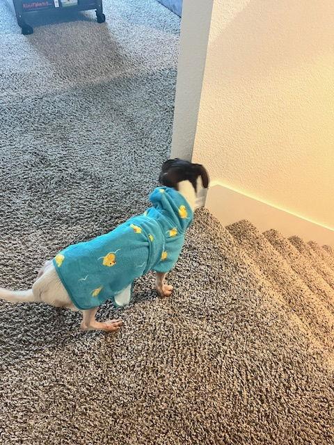 Slinky — thumbnail 2