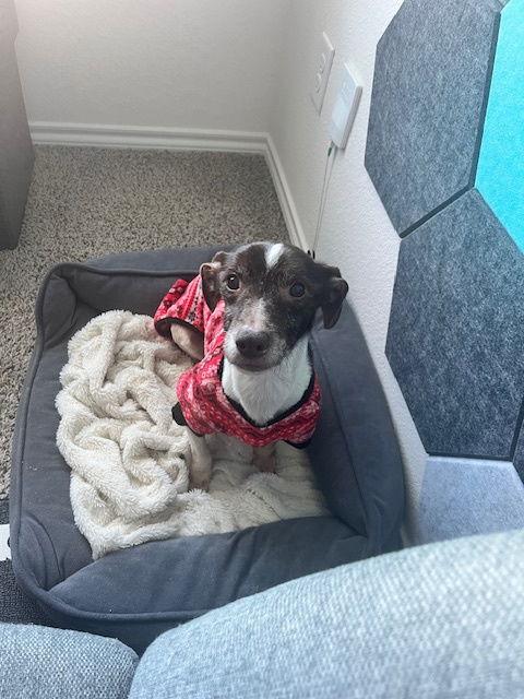 Slinky — thumbnail 3