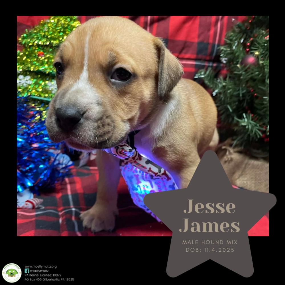 Jesse James thumbnail 5