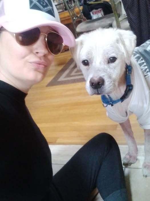 Enlarge Rye (SC), a Adoptable Terrier in New York, NY image 1/3