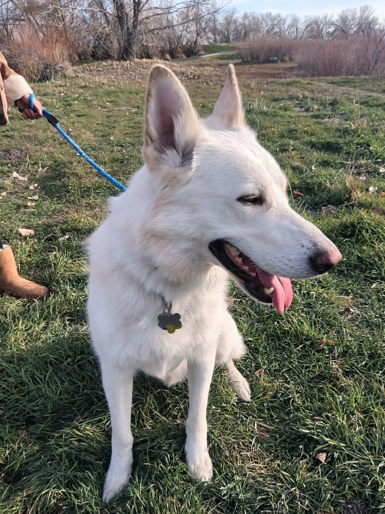 Bestest Buddy — thumbnail 3