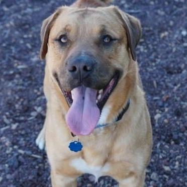 Sargent — thumbnail 2