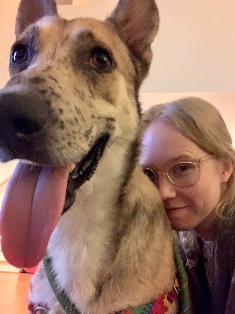 Max, Young Male Shepherd