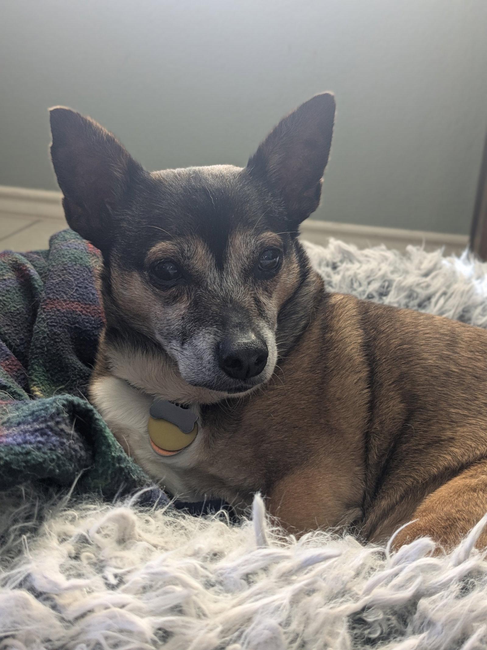 Arty — thumbnail 3