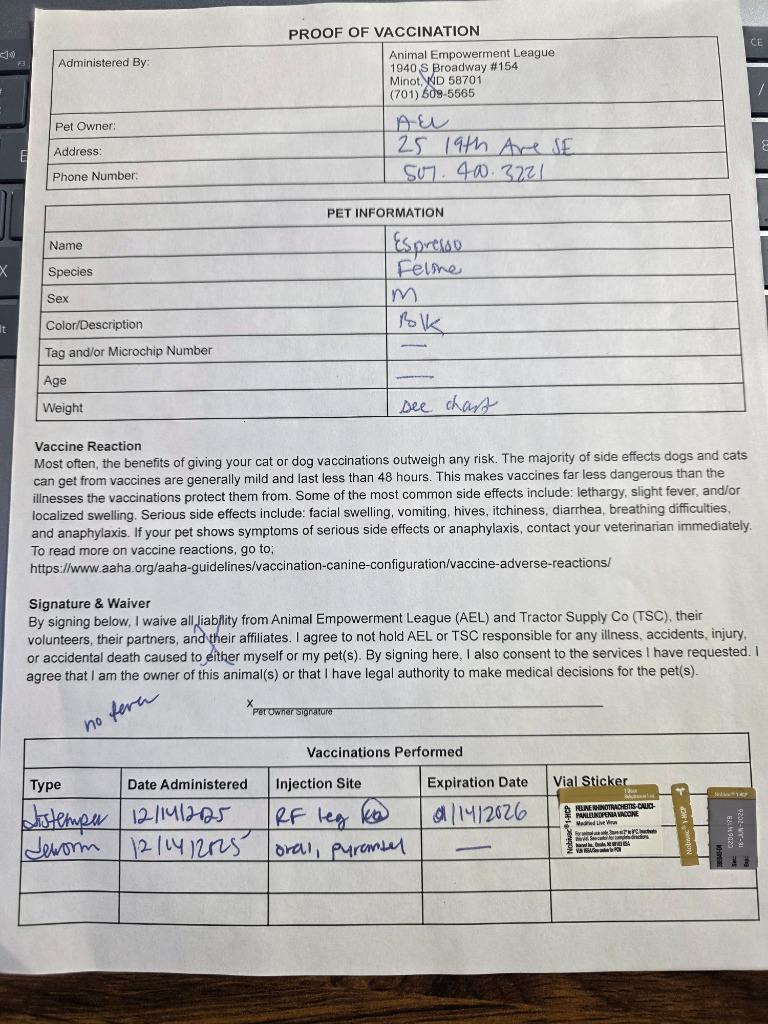 Espresso, a Adoptable mixed breed in Minot, ND image 1/5