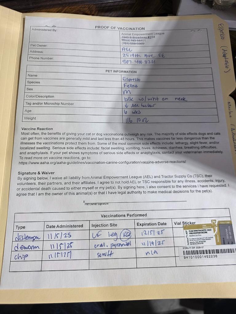 Espresso, a Adoptable mixed breed in Minot, ND image 4/5