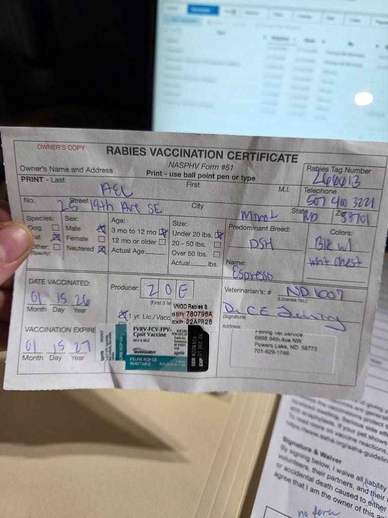 Espresso, a Adopted mixed breed in Minot, ND image 5/6