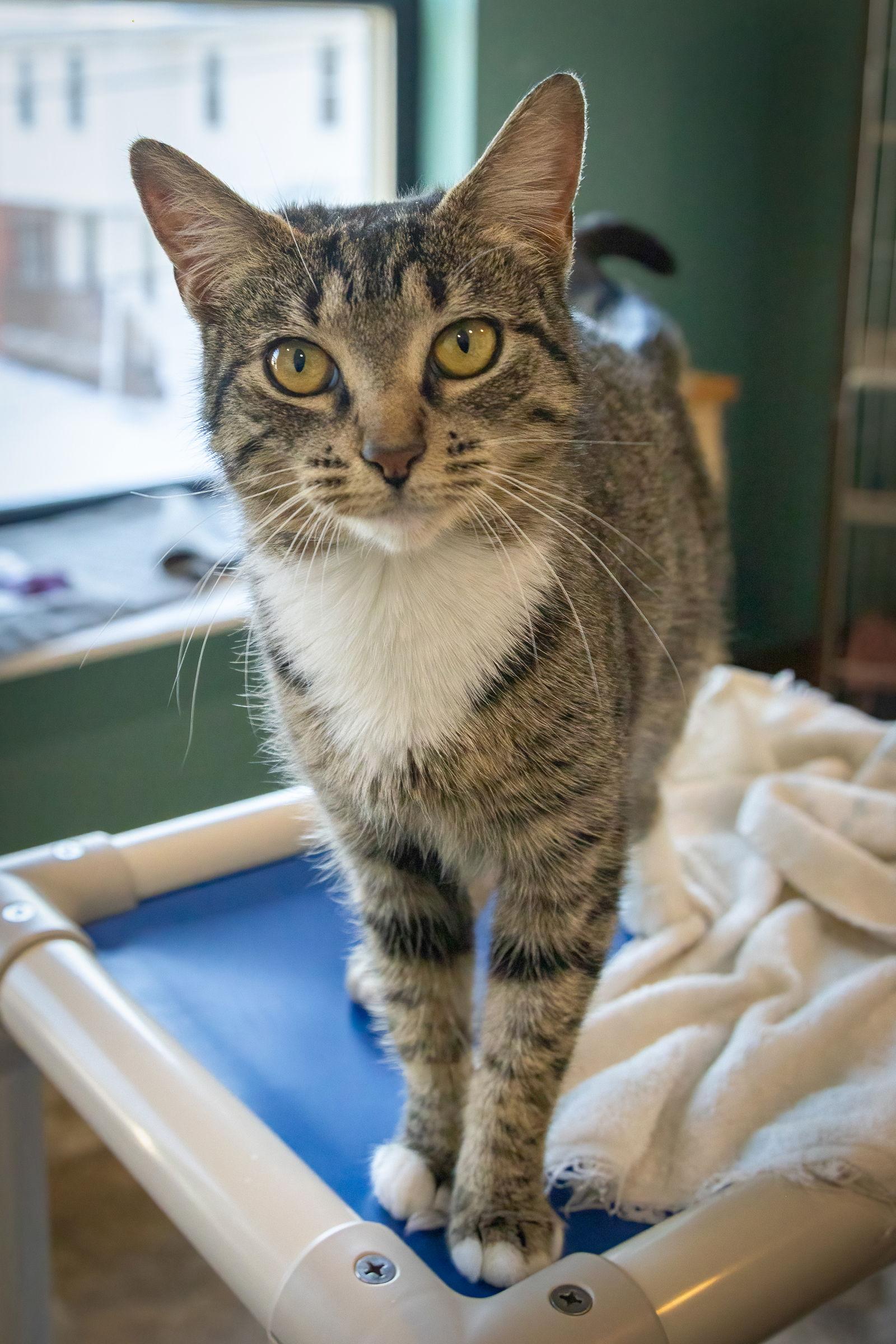 Flim Flamc thumbnail 2