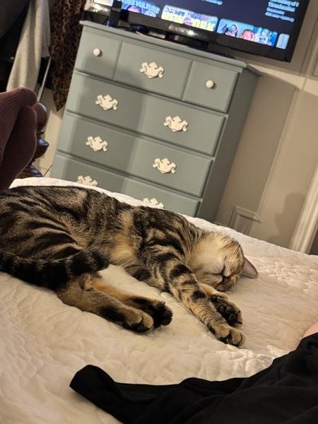 Cardi — thumbnail 2