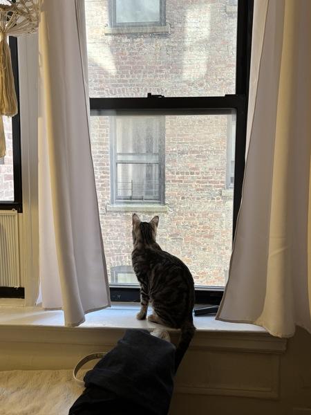 Cardi — thumbnail 4