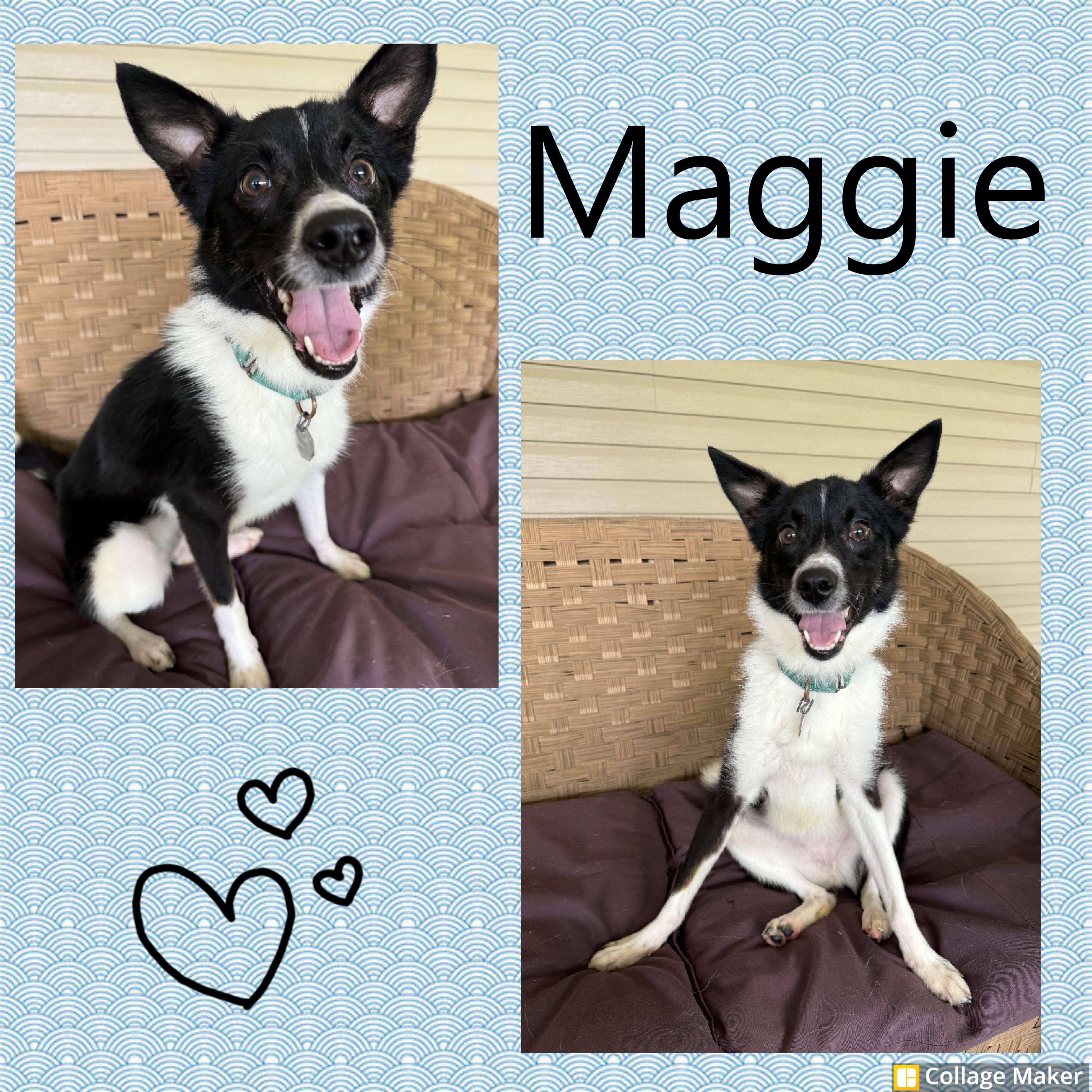 Maggie