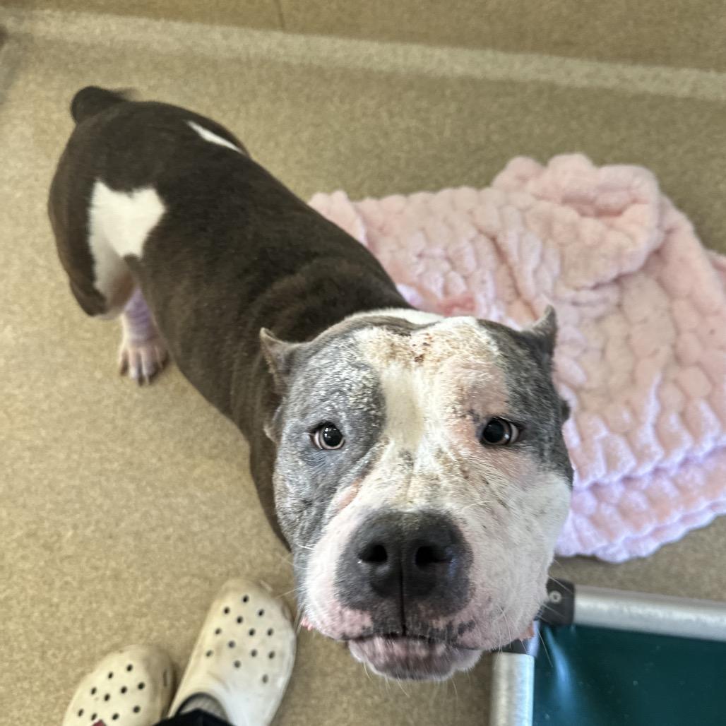 Fiona — thumbnail 2