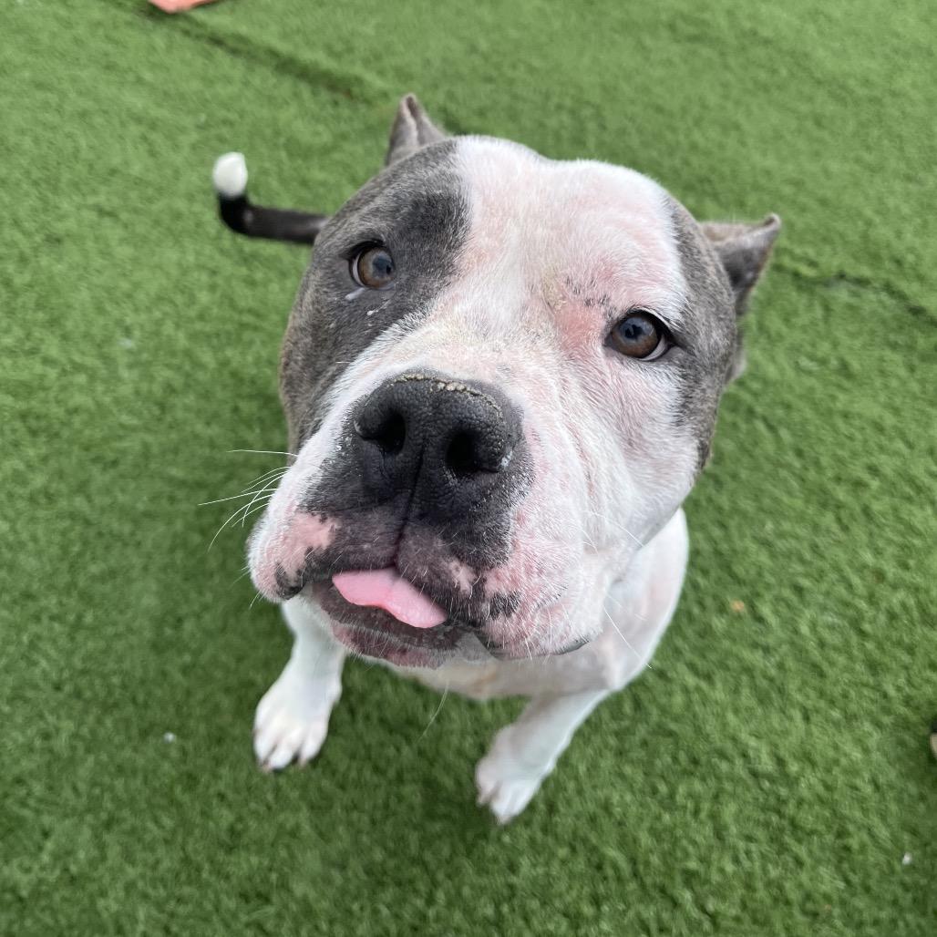 Fiona — thumbnail 3