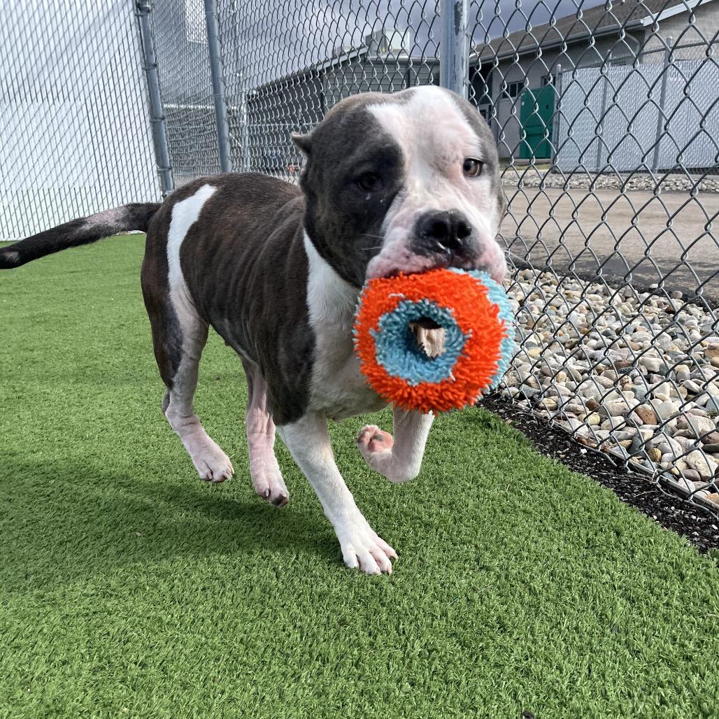 Fiona — thumbnail 4