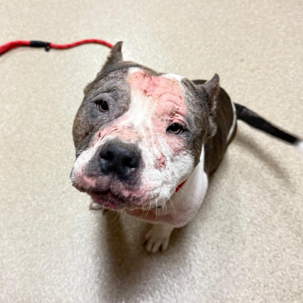 Fiona — thumbnail 5