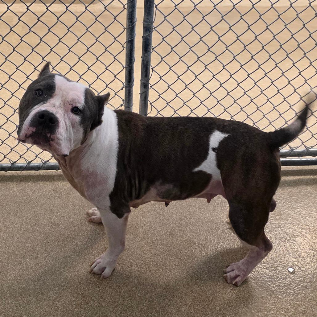 Fiona — thumbnail 6