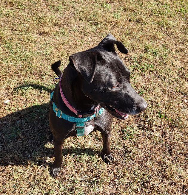 Zoey B