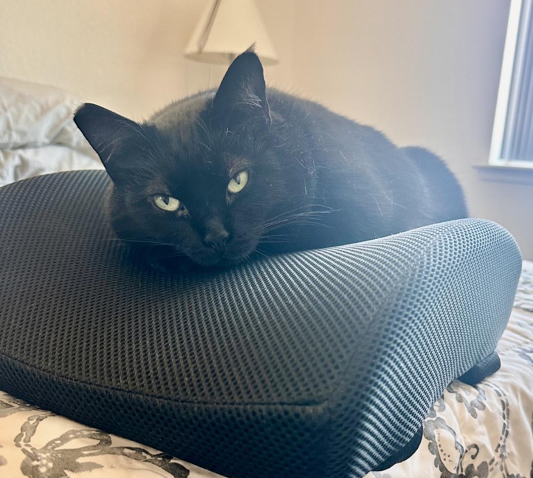 Cleo — thumbnail 3