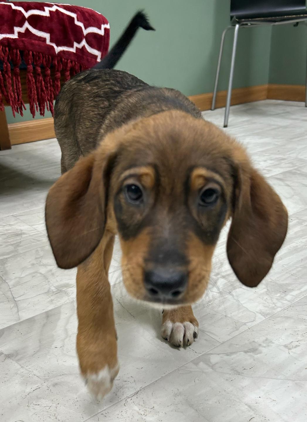Max