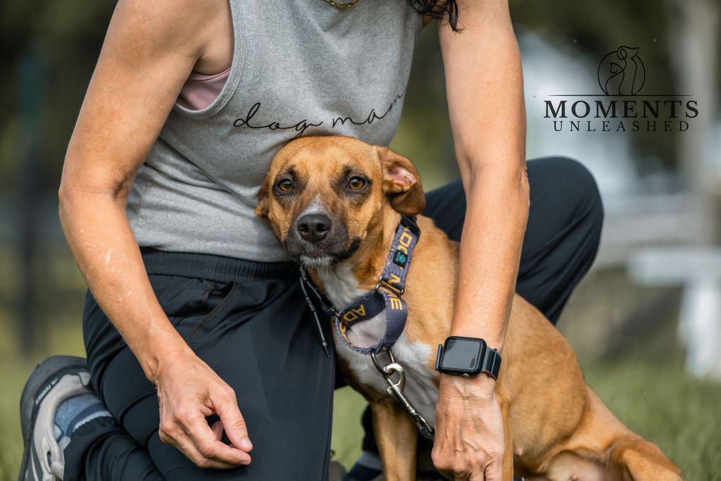 Kala, a Adoptable mixed breed in Myakka City, FL image 3/4