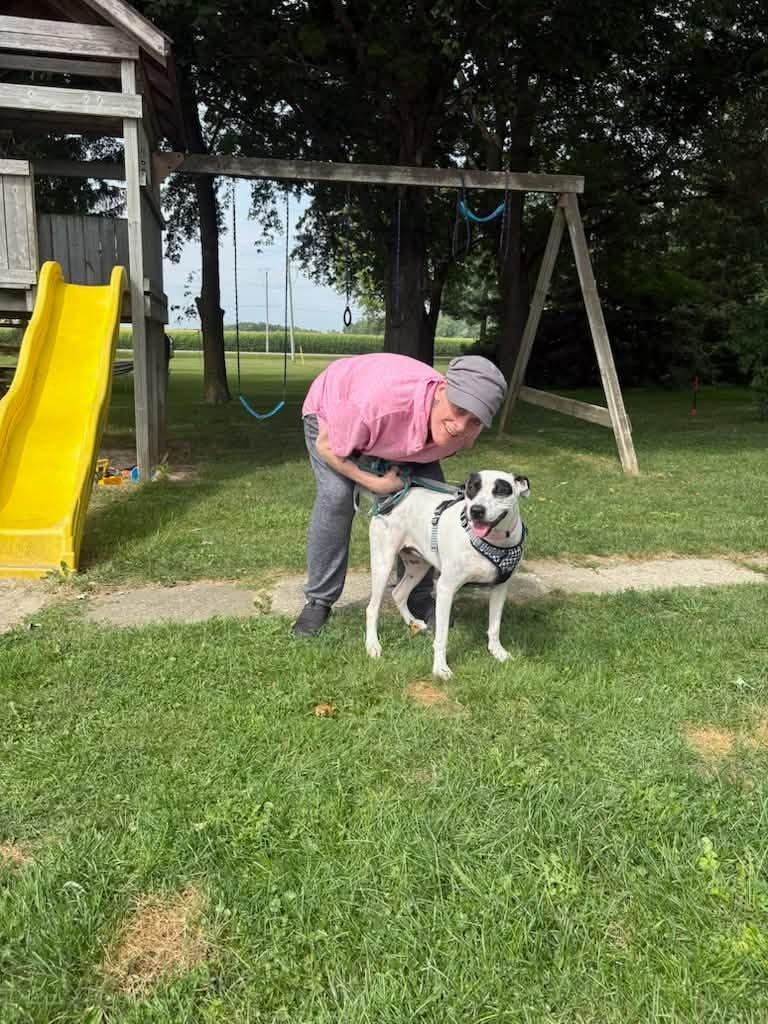 Enlarge Jessie, a ADOPTABLE mixed breed in Woodstock, ON image 6/6