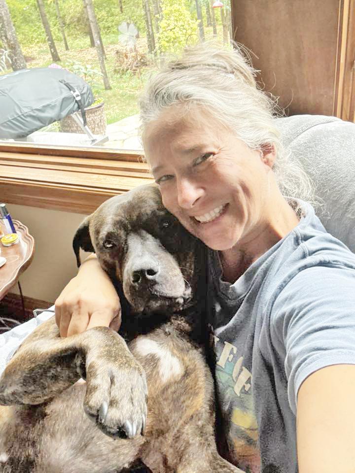 Duke-LAP DOG! Loves to hangout and chill, a Adoptable mixed breed in Oshkosh, WI image 2/6