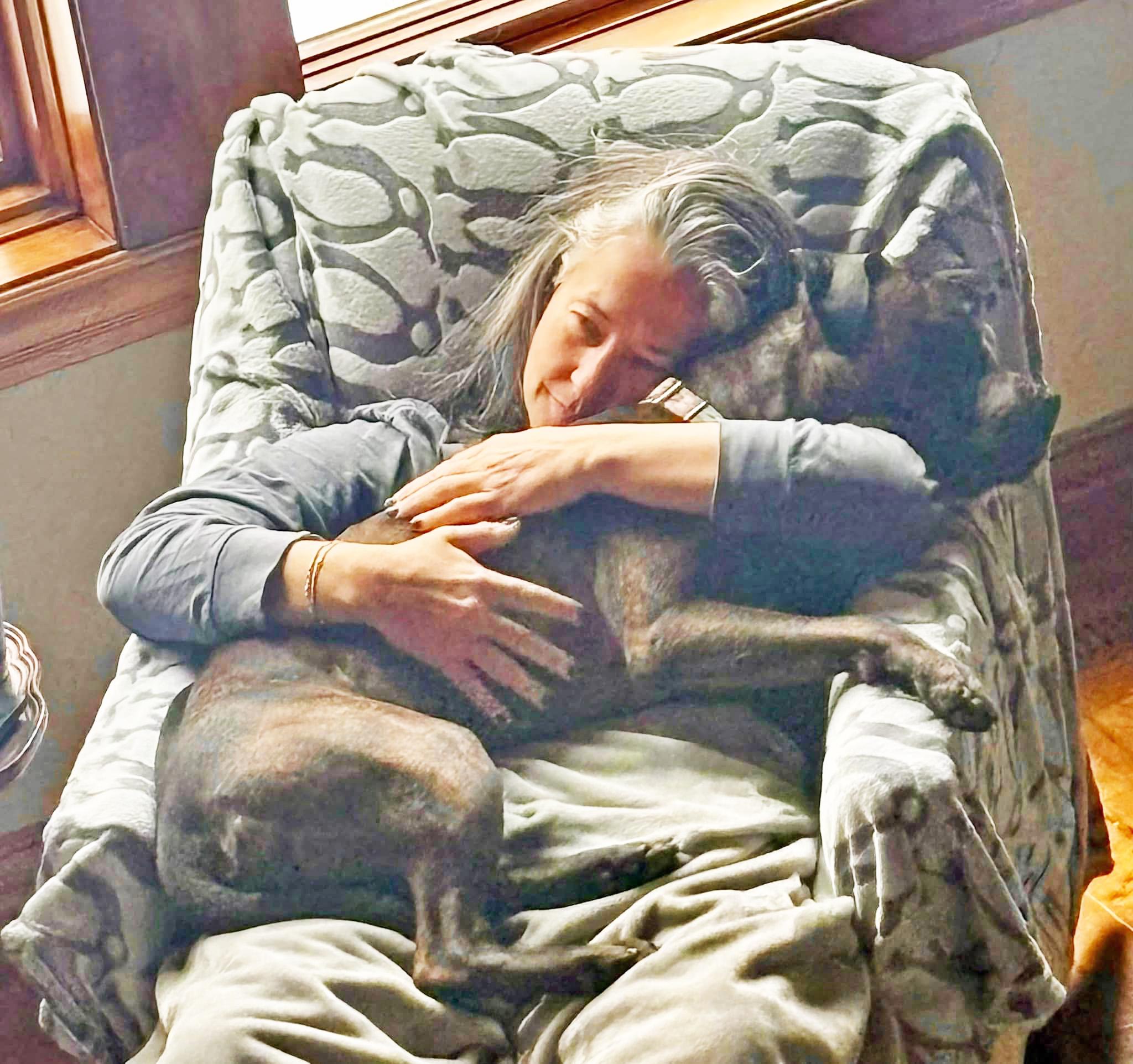 Duke-LAP DOG! Loves to hangout and chill, a Adoptable mixed breed in Oshkosh, WI image 4/6