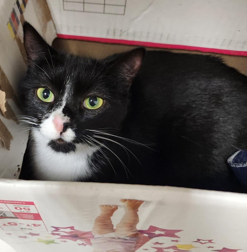 Princess thumbnail 2